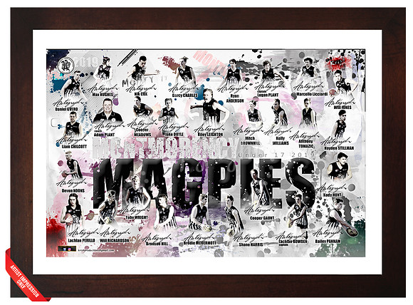 TEAM PAINT SIGNATURE SERIES A3=$30